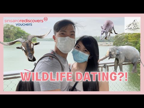 We went to Singapore Zoo & River Safari during COVID-19 | 我们在COVID期间参观新加坡动物园和河川生态园 [Vlog #05]