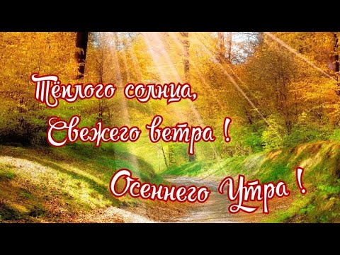 Доброе утро, хорошего дня, осенний привет от меня!!! 🍂🍁🍄