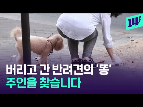 프랑스 거리의 골칫거리 ‘개똥’... 반려견 DNA로 주인 찾는다 / 14F