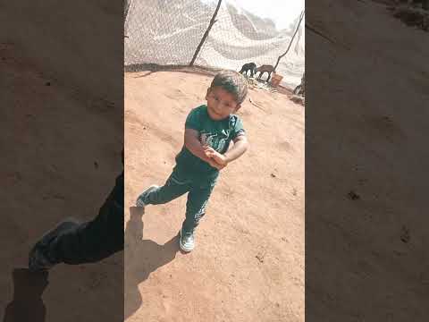 My Kiddo With Sheeps 🐑🐑❤ ⭐😅