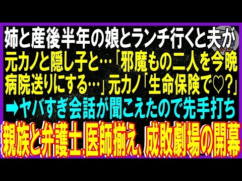 【スカッと話】姉と産後半年の娘とランチ行くと夫が元カノと隠し子と「邪魔もの二人を今晩病院送りする」元カノ「生命保険で♡」ヤバすぎ会話聞こえたので先手打ち親族と弁護士 医師揃え､成敗劇場の開幕