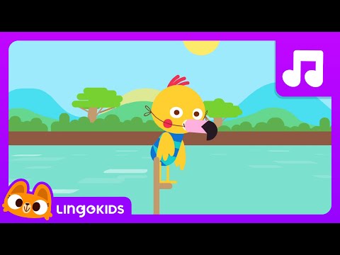 Wild Animals Song 🦒 Safari Chants for Preschoolers | Lingokids Music