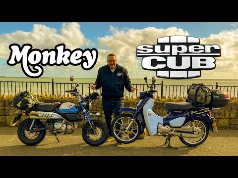 Honda Super Cub vs Monkey | Which Is Faster?