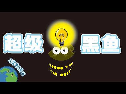 超黑鱼为什么这么黑【毛茸茸的星球】