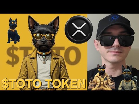 $TOTO - TOTO TOKEN on XRPL CRYPTO COIN HOW TO BUY XRP TERRY MEMECOIN BLOCKCHAIN FIRST LEDGER DOG OZ