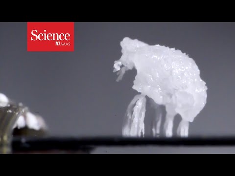 These strange salt ‘creatures’ could help unclog power plant pipes