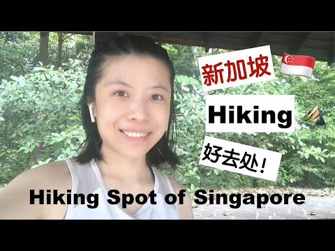 新加坡Hiking好去处！在大自然里获取治愈力量 - Hiking in Singapore