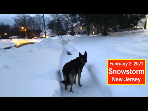 Ep194 Feb 2 2021 NJ Snowstorm with our German Shepherd - We got 27 inches of snow!