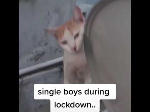 Single Boys during lockdown | Shravan Narayan | Corona Effect