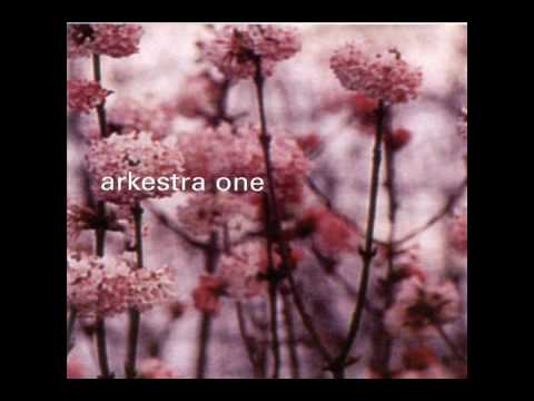 Into The Light - Arkestra One