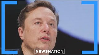 Elon Musk 'winner' in government shutdown crisis: ex-Dem legislator | NewsNation Prime