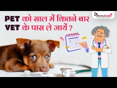 अपने Pet  को कब ले जाएँ Vet के पास सही समय जानें | Pets Care Expert