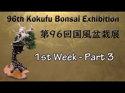 96th KOKUFU BONSAI EXHIBITION 2022 /02/8~11 1st week. 第96回国風盆栽展（前期）PART.3