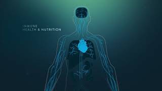 How Nutrition Supports the Immune System