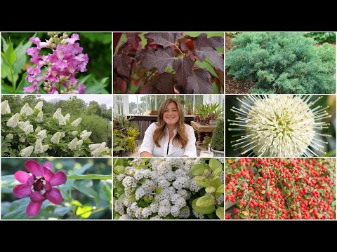 10 Underrated Shrubs Every Garden Should Have! 🌿🙌😁 // Garden Answer