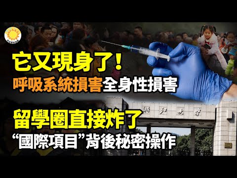 🚨💉它又現身了！呼吸系統損害、全身性損害和心血管系統損害！💥🎓 留學圈直接炸了！“國際項目”背後的秘密操作；🌟🌟轟動世界的成功：讓人看到有希望的燦爛人生【阿波羅網】