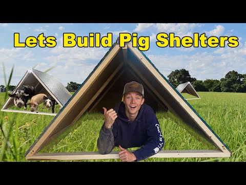 Pig Shelters on a Budget