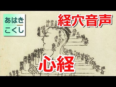 経穴 暗記用音声 手の少陰 心経 [あはきこくし]