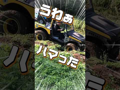 ジムニーの楽園 走り切れたら賞金10万円企画💰 #ジムニー #スズキ #suzuki #suzukijimny #jimny #neverland #アルティメットモーグル   #車 #カスタム