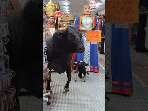 We found a bull in a shop in Pamplona on Day 2 of the Camino #shorts #travel #pamplona #spain #bull