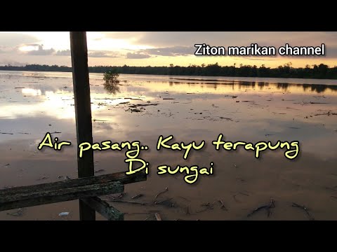 Sungai Batang Igan..air pasang & kayu hanyut..(.mayuh apat😅)