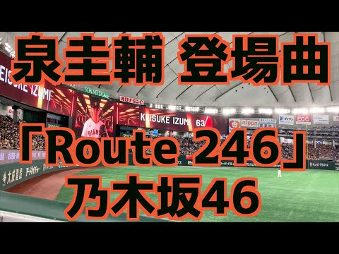 泉圭輔 登場曲「Route 246」乃木坂46【巨人】