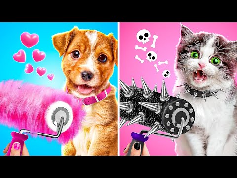 We Build a Secret Room for Pets! 🐶😻 Rich Cat vs Poor Dog!