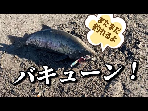 アキアジ（鮭）まだまだ釣れるYO～！今がチャンス！