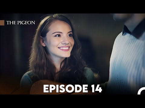 The Pigeon Episode 14 (FULL HD)