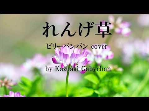 1972 れんげ草 ビリーバンバン カバー «Rengeso, Milk Vetch » by Billy Ban Ban, Covered by Kazuaki Gabychan