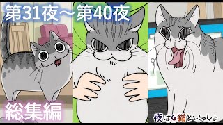 アニメ『夜は猫といっしょ』×10！【第31夜～第40夜まとめ】