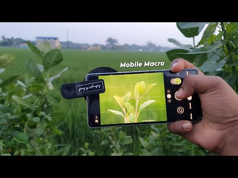 Best Macro Lens for Smartphone | Top Mobile Macro Lenses Review 2024