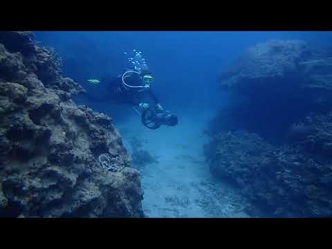 DPV Dive Small Beach Detect Okinawa