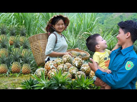 The joy of a single mother: Meet the Good Man- Help & Harvesting Pineapple || Ly Tieu Nu