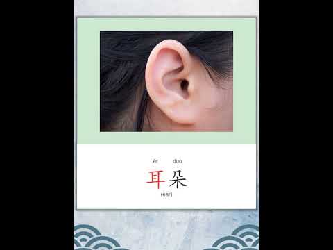 学中文 | 汉字 | Learn Chinese | Chinese Character | 耳