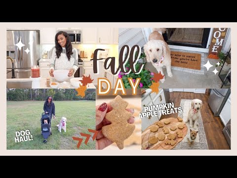 FALL DAY WITH THE DOGS | MAKING DOG TREATS & AFFORDABLE DOG HAUL // LoveLexyNicole