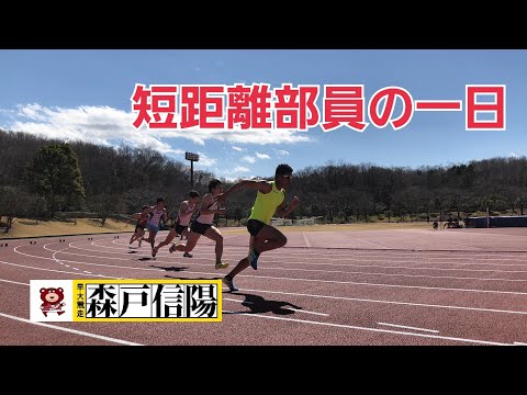 密着‼ 早稲田大学競走部員（短距離編）