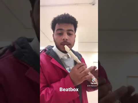 Altaf music Flute Beatbox