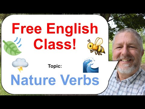 Let's Learn English! Topic: Nature Verbs! 🐝🍃🌩️