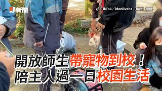 毛小孩體驗一日校園生活❤️學校開放師生帶寵物到校｜寵物動物｜大成工商｜精選影片