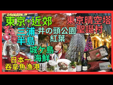 [東京+東京近郊 三浦半島 美食 紅葉] 日本一 三崎漁港 吞拿魚| 城ケ島 海鮮| 酒店自炊t河豚 石鯛 象拔蚌 海蔘 葉山牛|井の頭公園 紅葉| 東京晴空塔 聖誕村| 越前蟹 松阪牛 VS 沛安牛