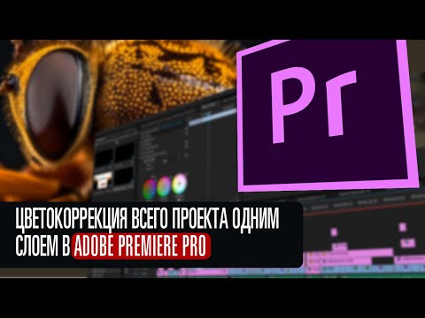 Цветокоррекция одним слоем в Adobe Premiere Pro