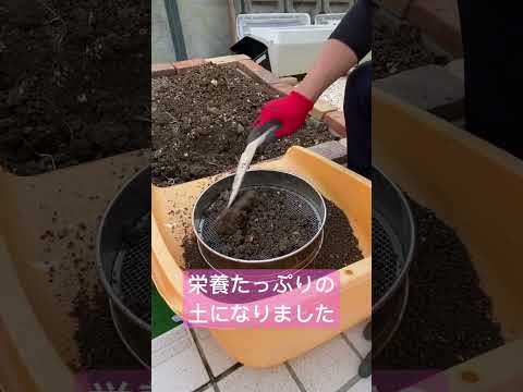 生ゴミが消えた！！我が家のキエーロ #shorts#家庭菜園