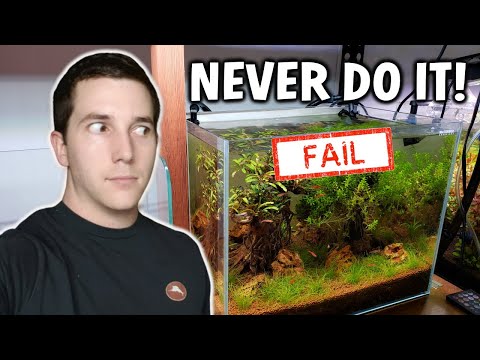 6 More Things You Should NEVER Do To Your Aquarium!