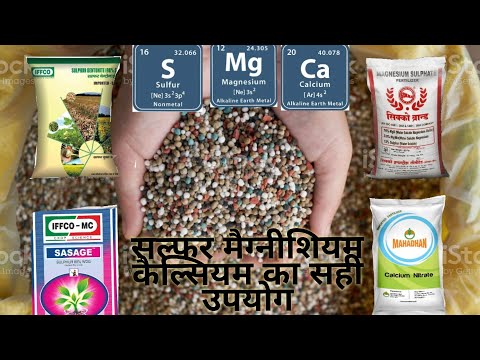 sulphur magnesium calcium का उपयोग कैसे कम करता है । इसके नतीजे