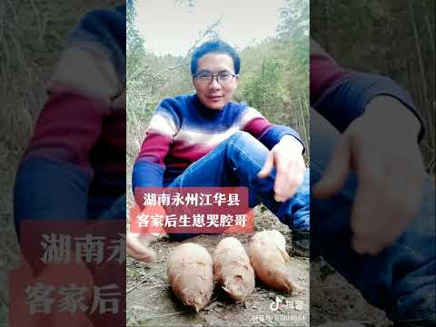 642 湖南江华: 你听得懂湖南江华客家话吗? Hunan Jianghua: Do you understand Hunan Jianghua Hakka?