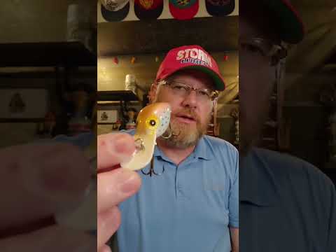 How To Tell Your Wiggle Wart is Legit! A real PRE-RAP WART #shorts #wigglewart #mrbasstv