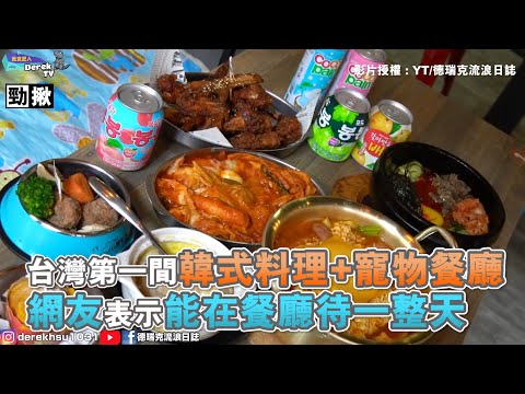 台灣第一間韓式料理+寵物餐廳 網友表示能在餐廳待一整天