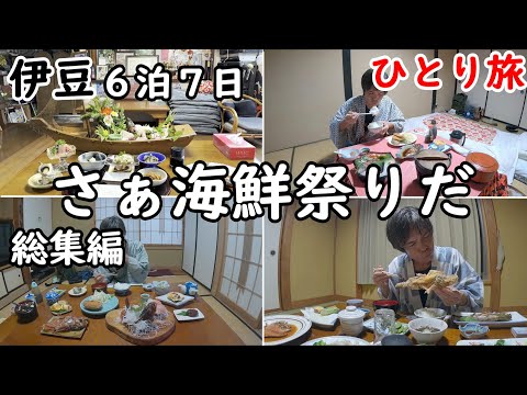 【総集編】静岡県の西、南伊豆6泊7日ひとり旅。コスパが素晴らしく、海鮮祭りと温泉が最高でした。