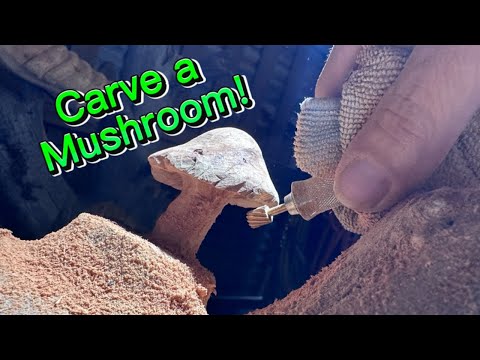 Wood Carving for Beginners: Live